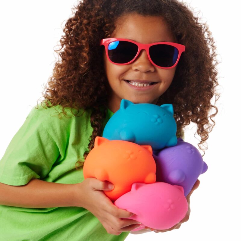 Super NeeDoh Cool Cats - US 4674