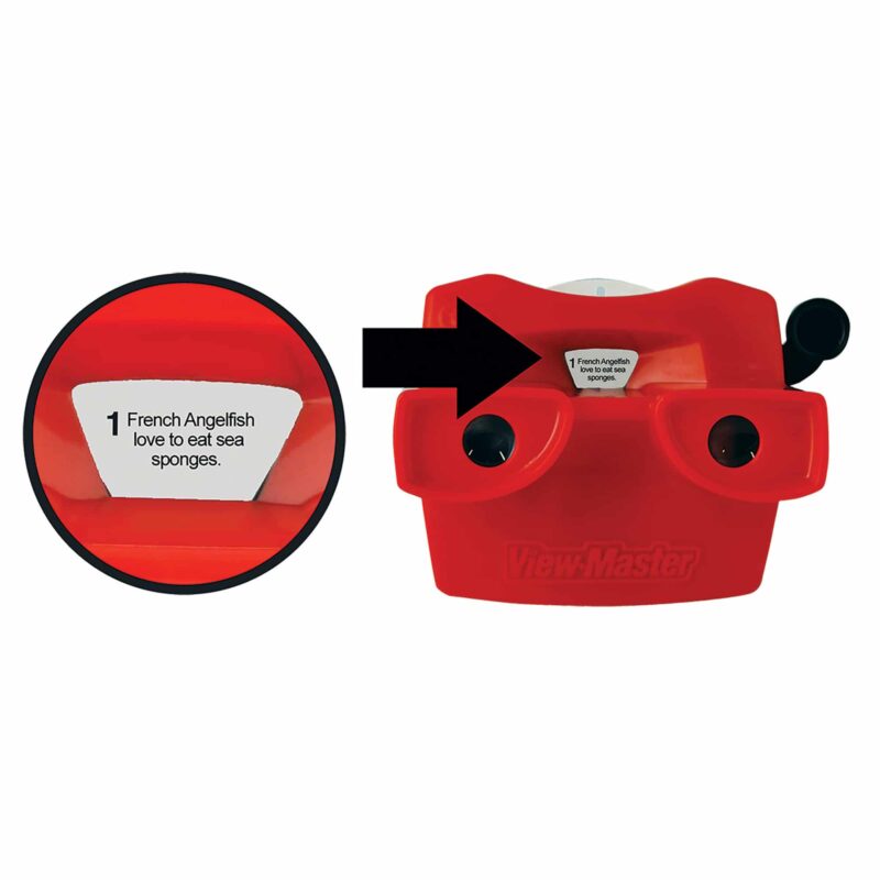 Viewmaster Boxed Set - US 3125