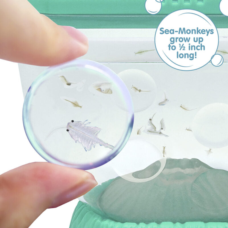 Sea-Monkeys Ocean Volcano - US 7315
